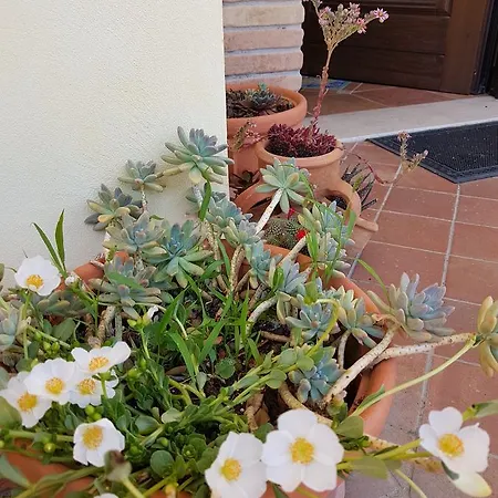 Frühstückspension Sole