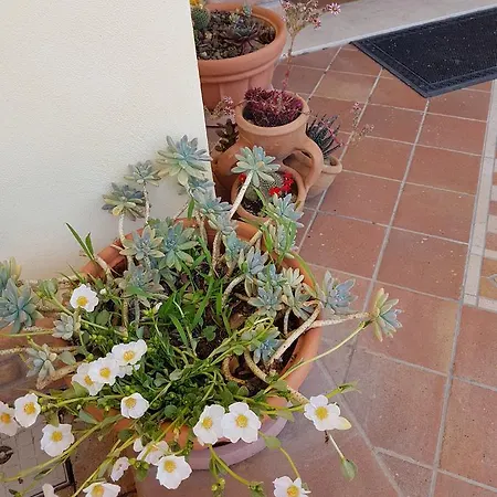 Frühstückspension Sole 4*