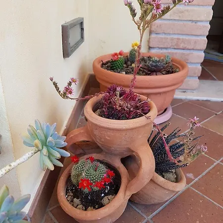 Sole Controguerra