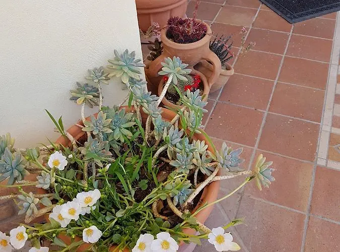 Bed and Breakfast Sole 4*