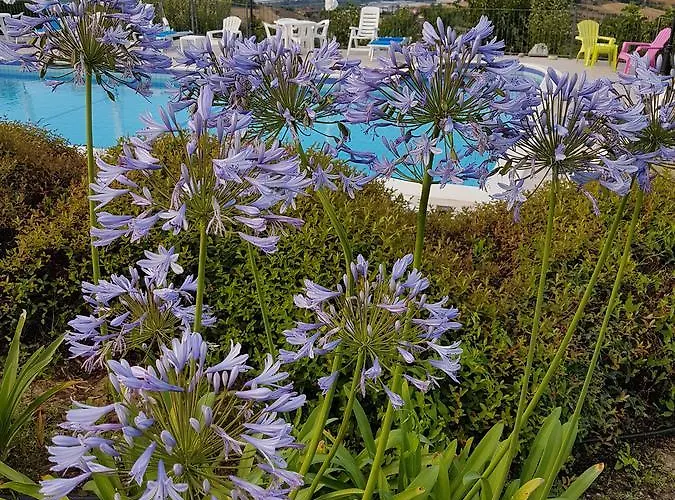 Sole 4* Controguerra